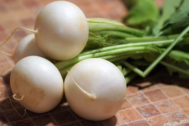 RADISH ALBENA Seeds for Planting - Premium Quality for Gardening Enthusiasts | Buy Organic Seeds Online
