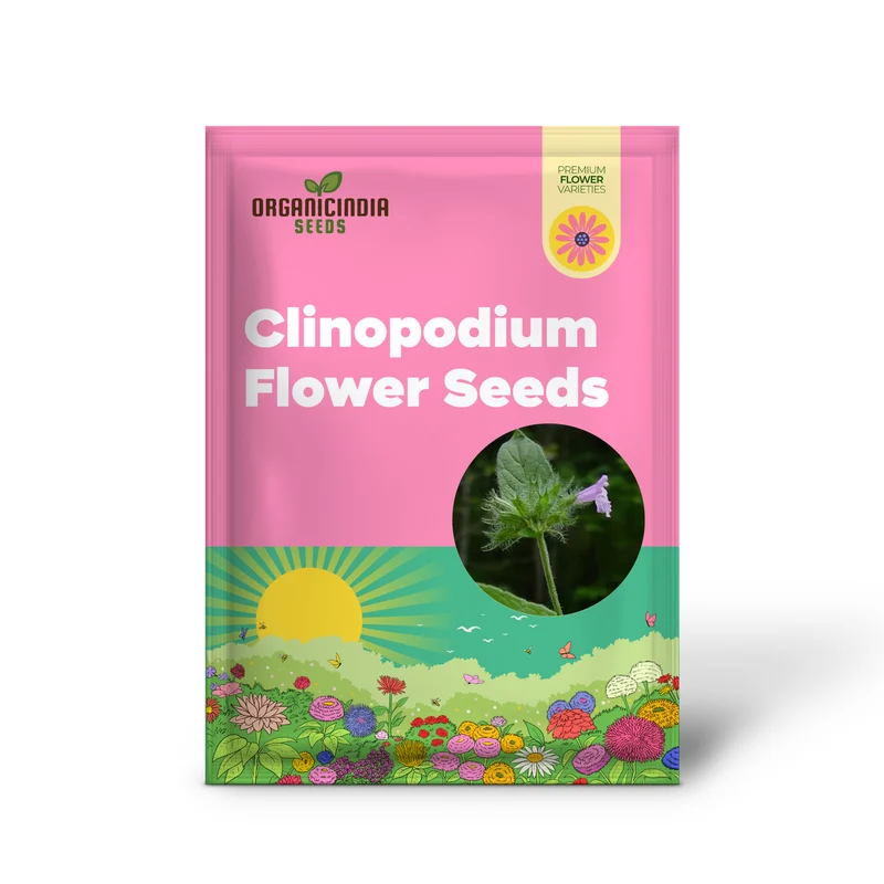 Clinopodium Vulgare Flower Seeds for Planting, Premium Quality Seeds for Gardening