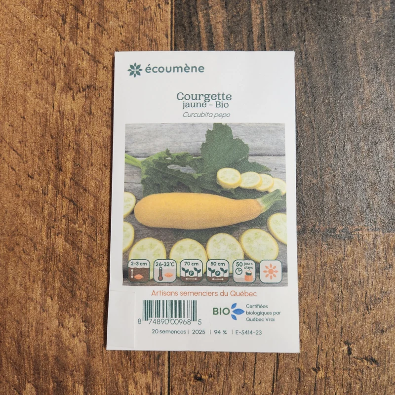 Courgette jaune ( Cucurbita pepo )