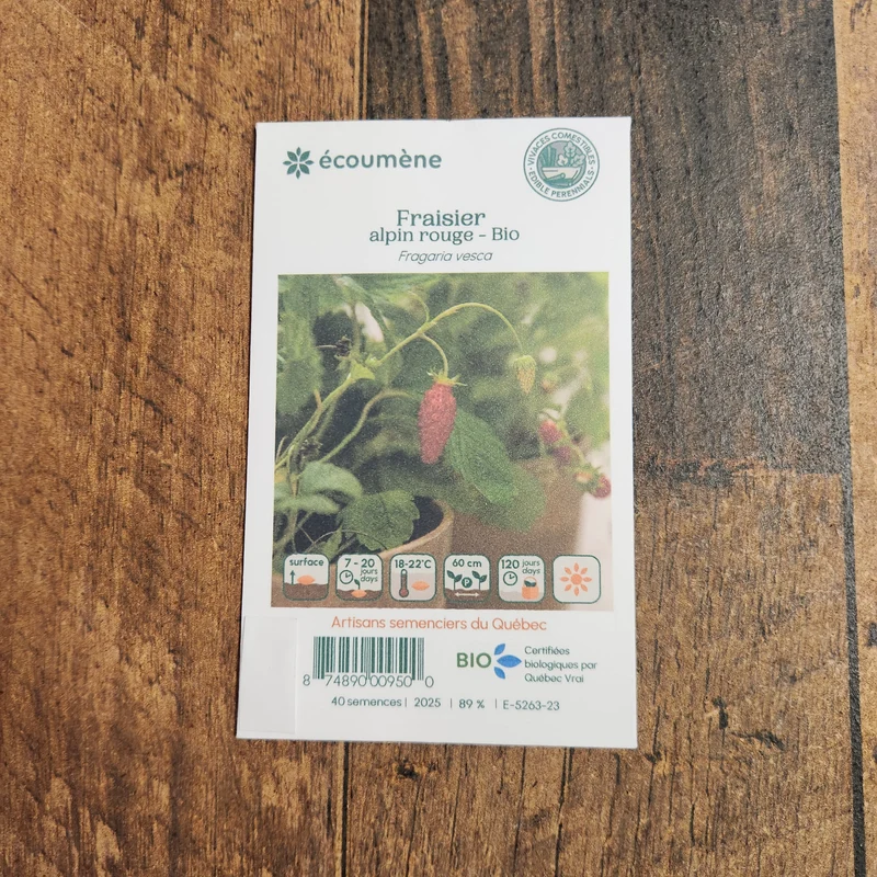 Fraise alpine ( Fragaria vesca )