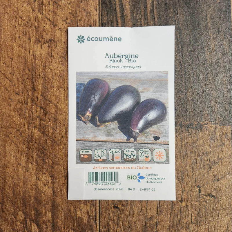 Aubergine ‘Black’ ( Solanum melongena )
