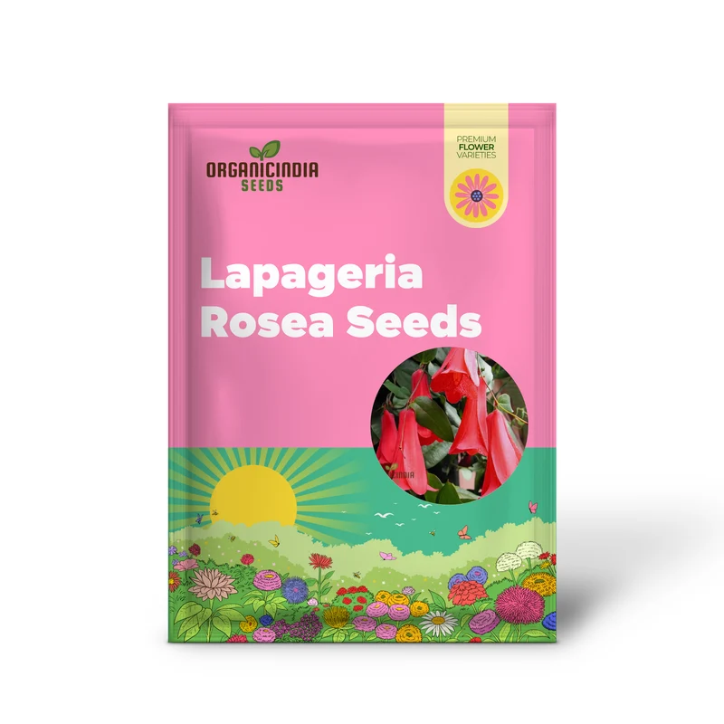 LAPAGERIA ROSEA- Premium Seeds for Your Garden's Flourishing Beauty and Delicate Elegance