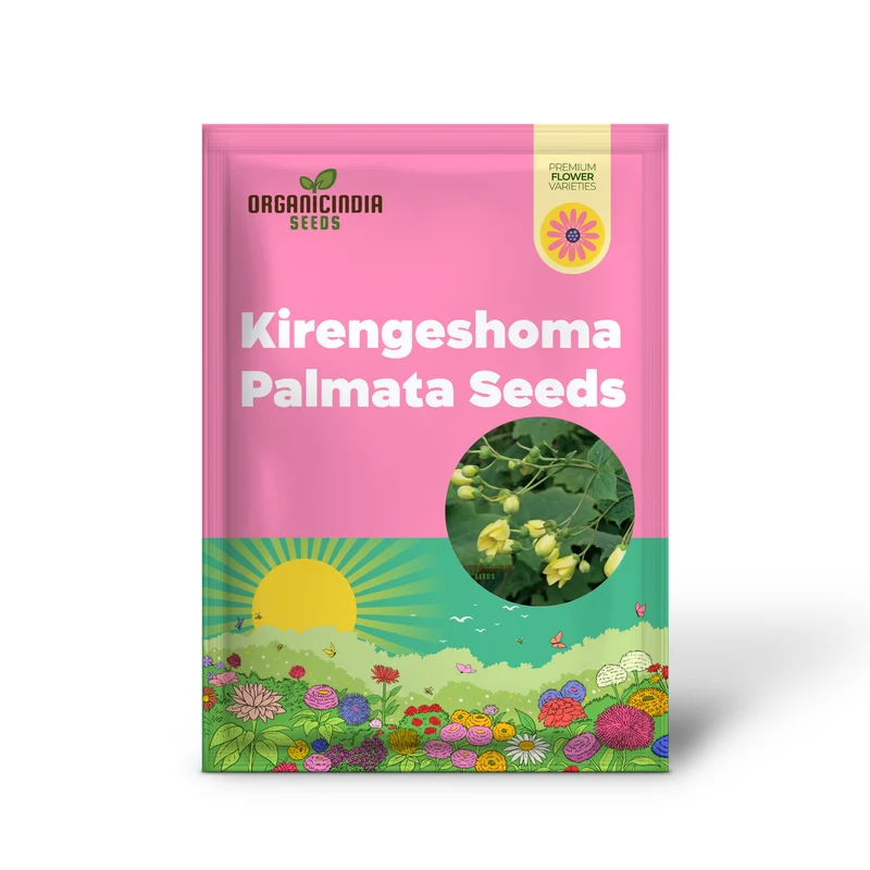 Kirengeshoma Seeds (Kirengeshoma Palmata Seeds) - Exquisite Beauty and Tranquility for Outdoor Spaces