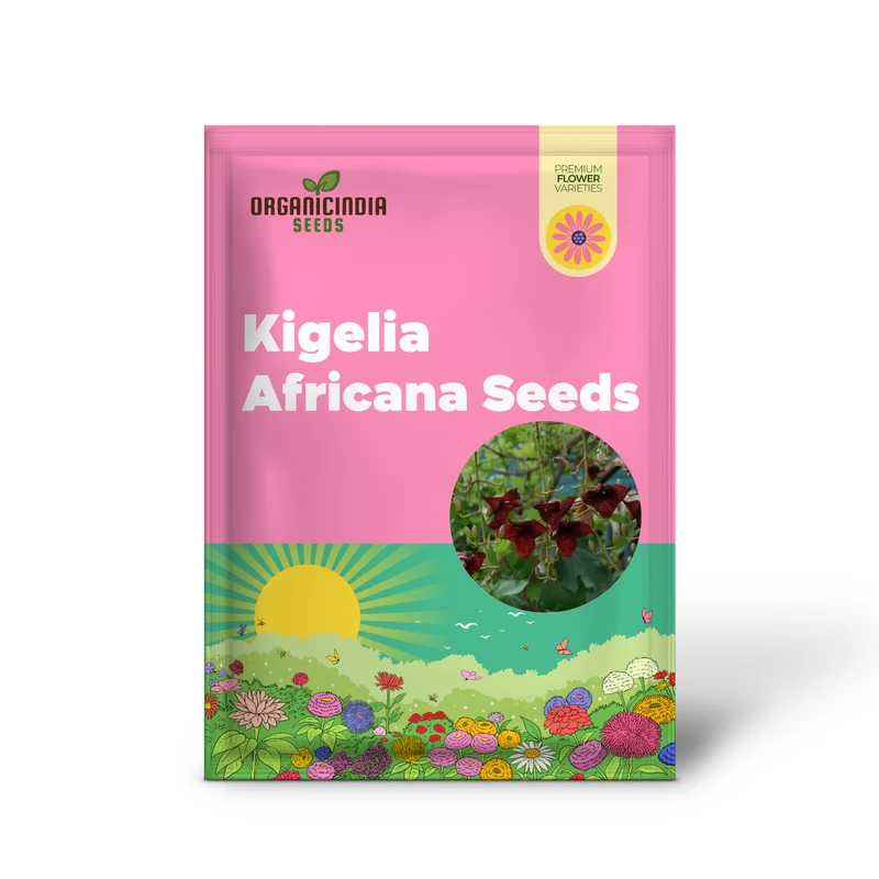 Kigelia Africana Seeds â€“ Enhance Your Gardening Experience with Exotic Seeds for Unique and Ornamental Growth!