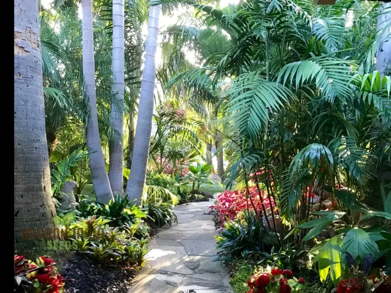 Chamaedorea Costaricana Seeds for Planting, Premium Quality Seeds for Exquisite Indoor Garden