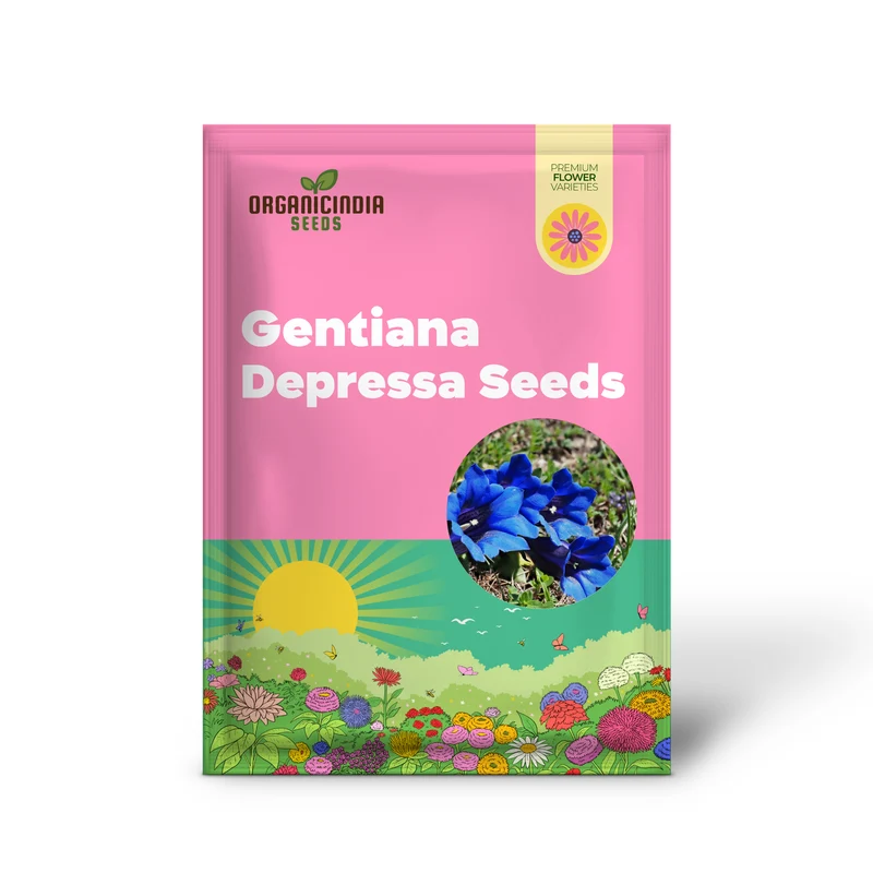 Gentiana Depressa Seeds for Alpine Garden Enthusiasts â€“ Perfect for Adding Unique Blue Blooms to Your Rock Garden