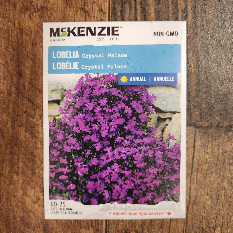 Lobelia 'Crystal Palace'