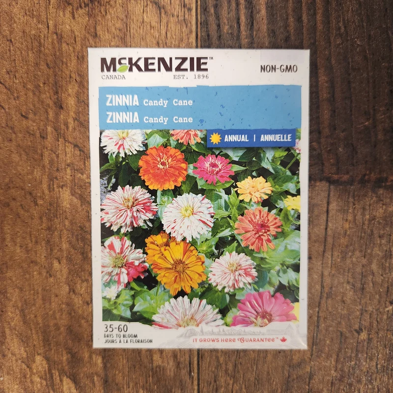 Mélange de zinnia 'Candy Cane'