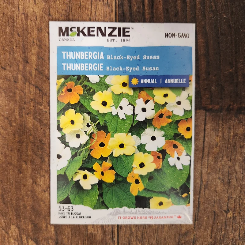 Thunbergia 'Black-Eyed Susan'