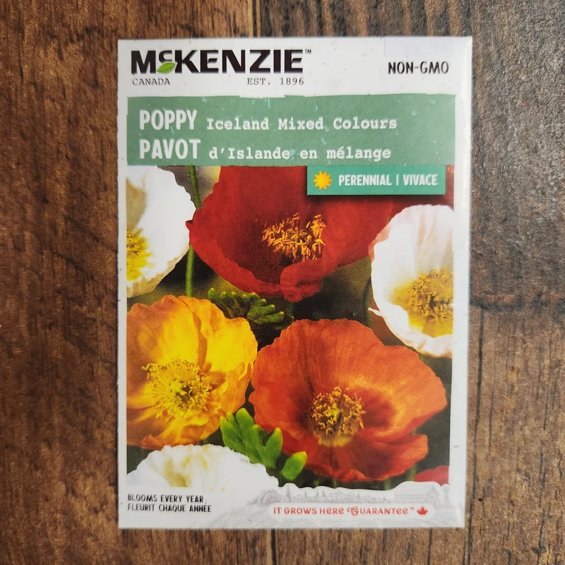 Pavot mélange d'Islande