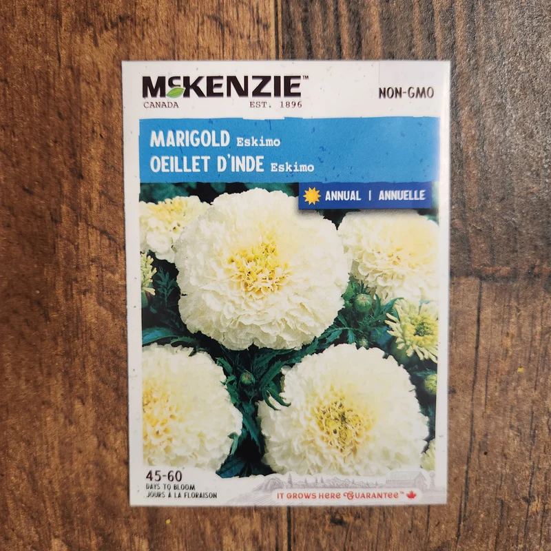 Oeillet d'inde 'Eskimo'