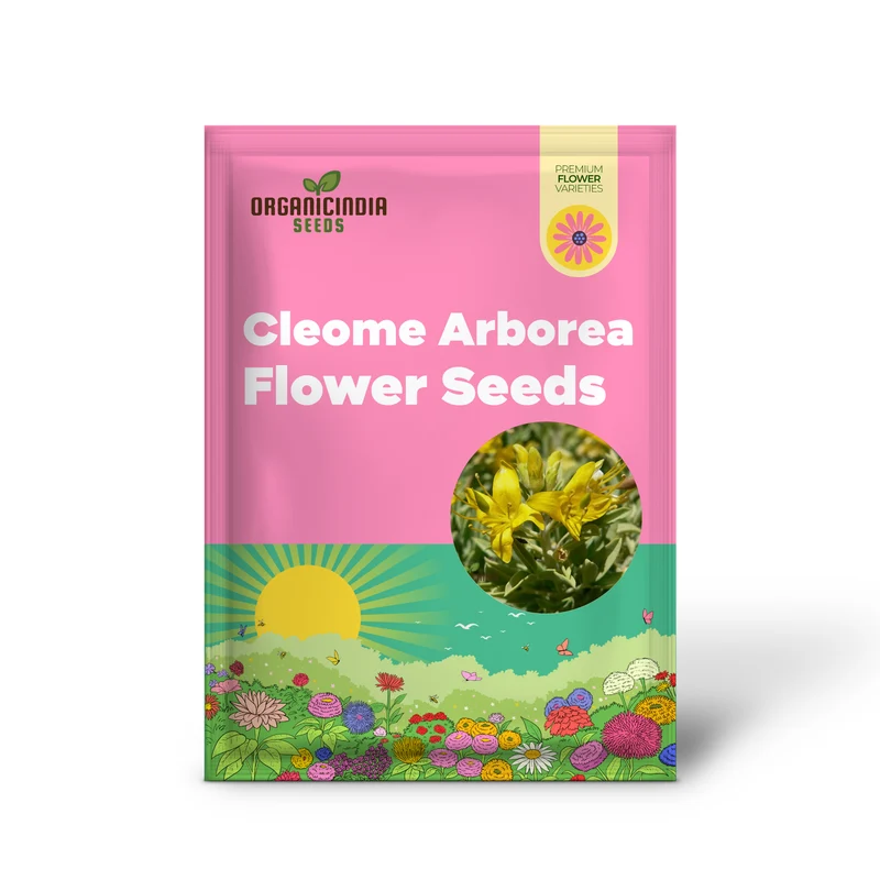 Cleome Arborea Flower Seeds for Planting, Premium Quality for Garden