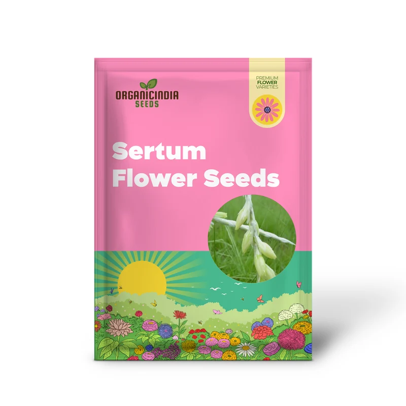 Dierama Sertum Flower Seeds For Planting, Enhance Your Garden with Graceful and Colorful Blooms