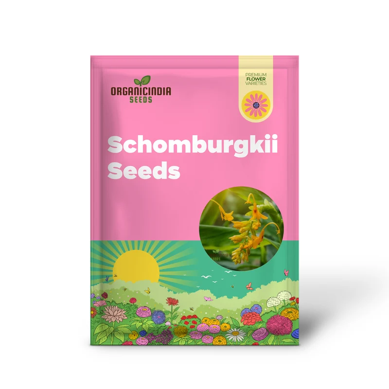 Globba Schomburgkii Seeds For planting- Exotic Gardening Delight for Enthusiasts Seeking Unique and Vibrant Flora