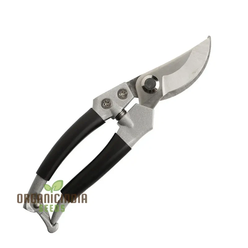 Compact Pruner Bypass secateurs 16mm by organicindiaseeds