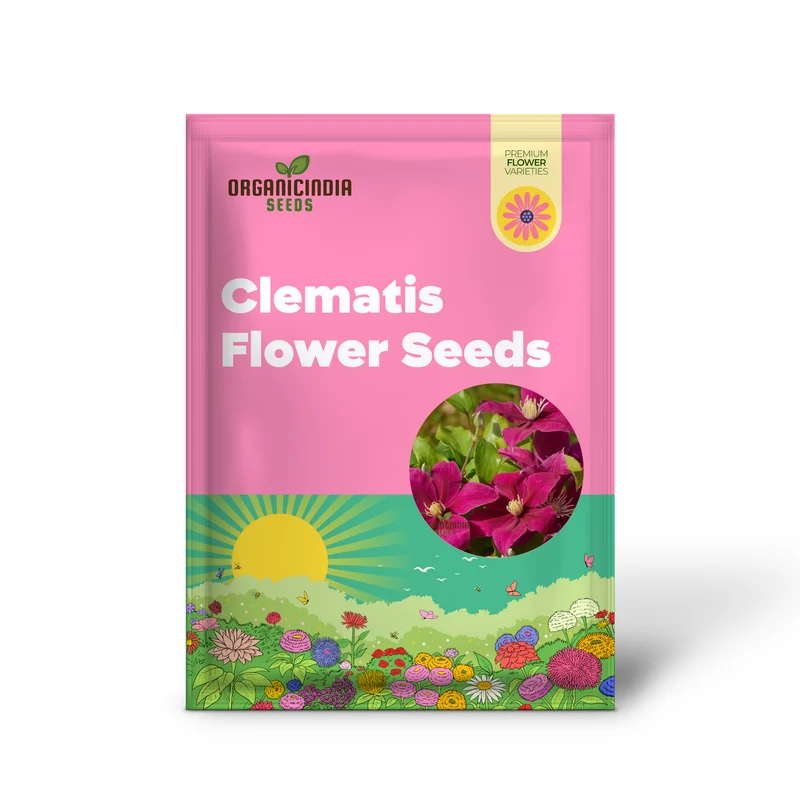 Clematis 'Magenta Silk' Flower Seeds for Planting, Premium Quality for Gardening