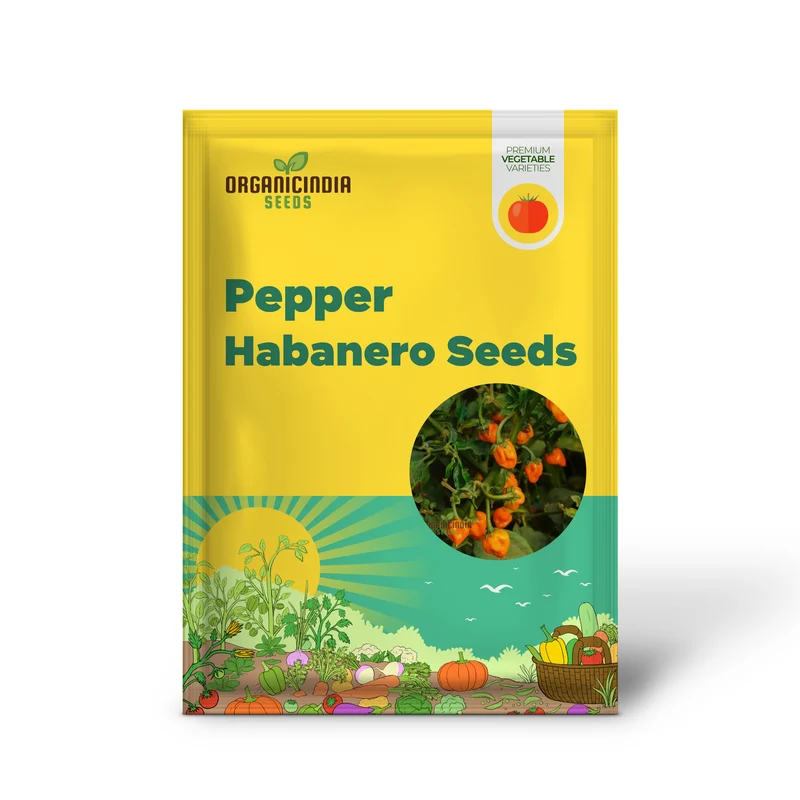 PEPPER HABANERO ORANGE Seeds for Planting, Your Garden | Buy Seeds Online