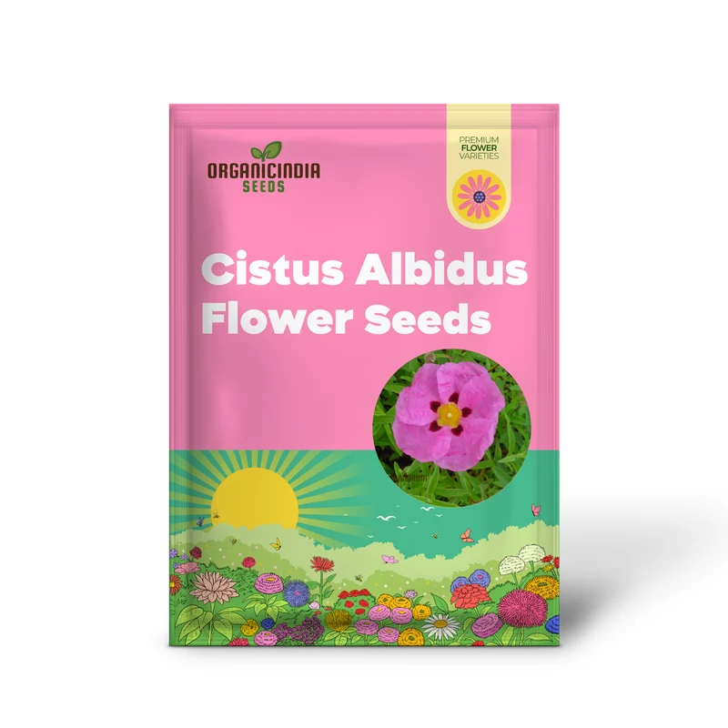 Cistus Albidus 'Pink Silk' Flower Seeds for Planting, Premium Quality for Passionate Gardeners
