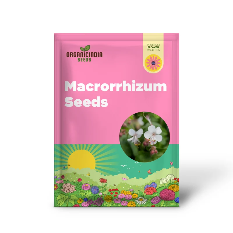 Geranium Macrorrhizum Seeds - Vibrant Perennial for Your Garden | Premium Quality Blooms and Foliage | Perfect for Borders and Ground Cover