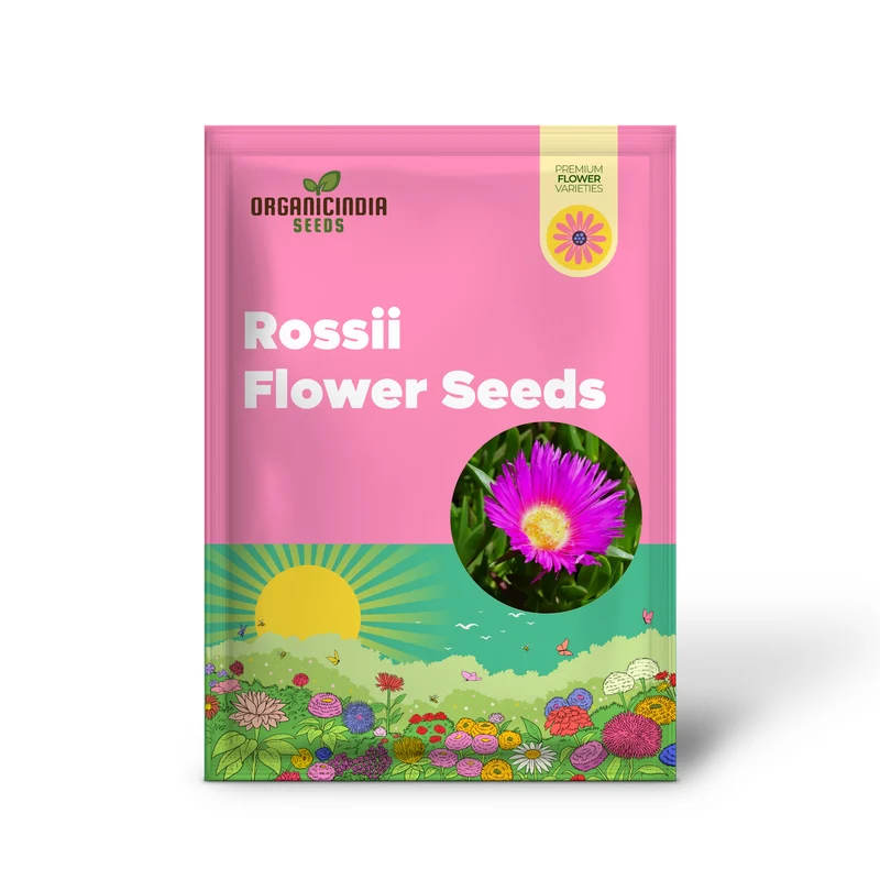 Carpobrotus Seeds (Carpobrotus rossii Seeds) - Premium Quality Seeds for Gardening