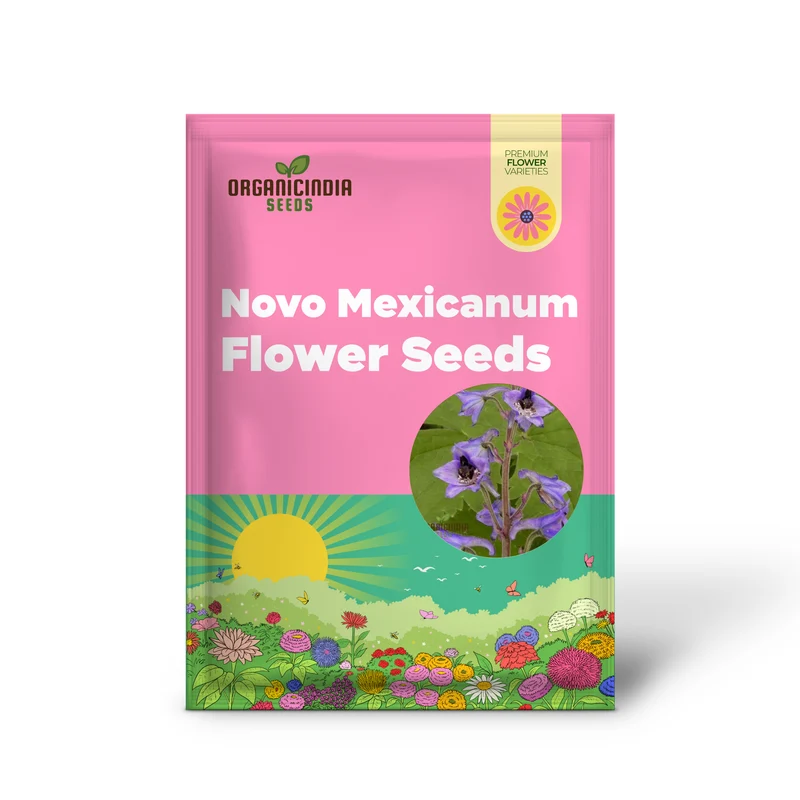 Delphinium Novo Mexicanum Flower Seeds for planting, Grow Elegance in Your Garden