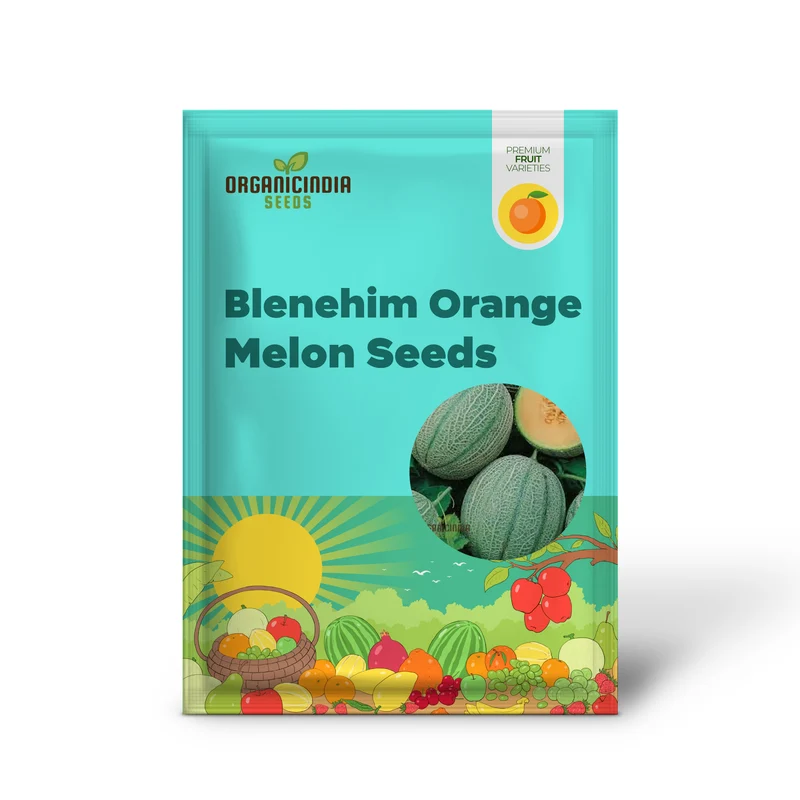 Blenehim Orange Melon Seeds - Sweet and Juicy Heirloom Variety for Your Garden
