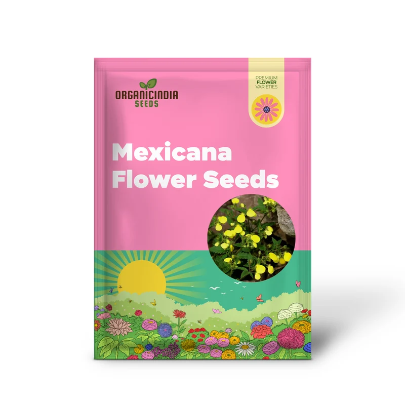 Calceolaria Mexicana Gold Purse Seeds – Unique Yellow Bloom Variety for Garden Planting
