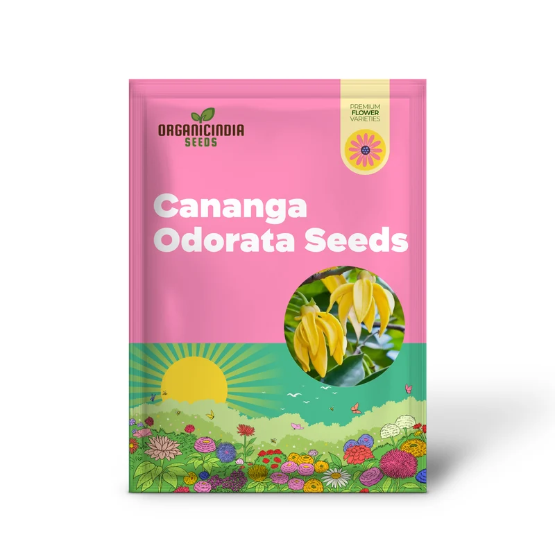 Cananga Odorata Seeds For Planting: Enhance Your Garden with Fragrant Ylang Ylang Trees and Plants