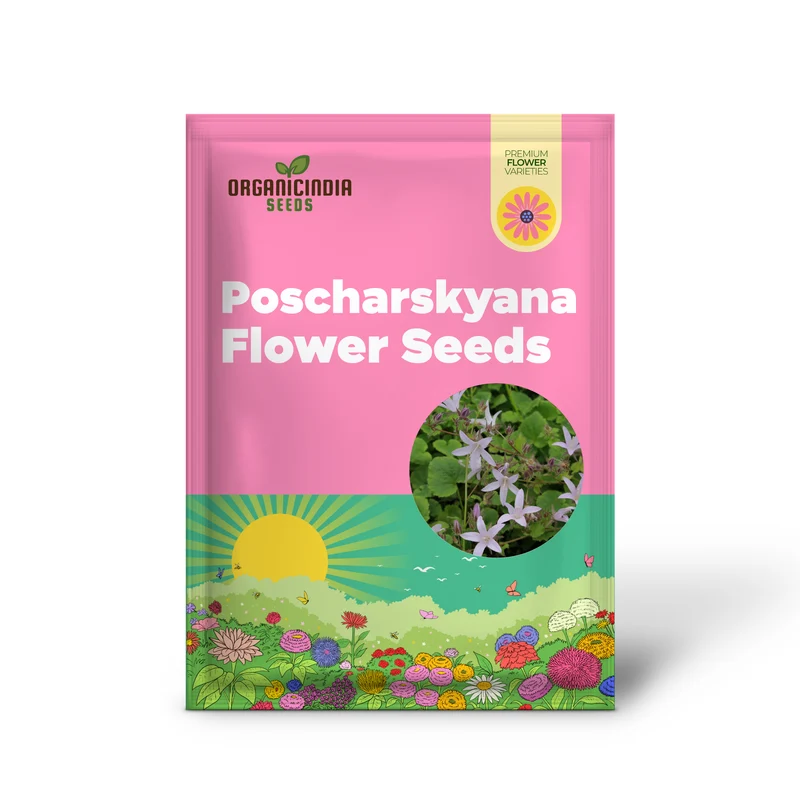 Campanula Poscharskyana Var. Lanata Seeds For Planting: Enchanting Bellflower for Your Garden Haven | Shop Unique Gardening Delights