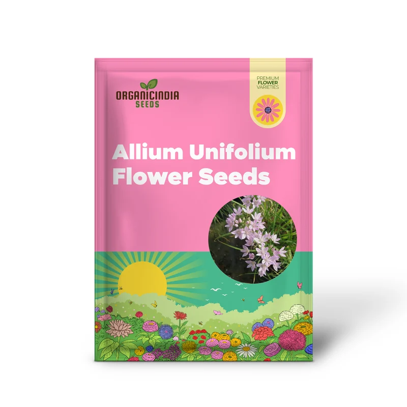 Allium Unifolium Seeds – Premium Ornamental Variety for Charming Garden Blooms