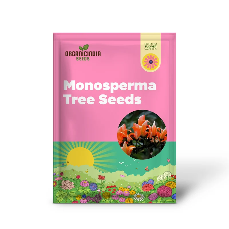 Butea Monosperma Seeds – Flame of the Forest Tree for Garden Planting