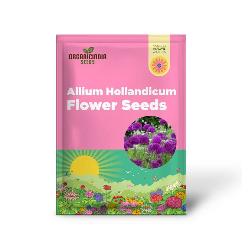 Allium Hollandicum 'Purple' Seeds – Premium Ornamental Flower Variety for Garden Enhancement