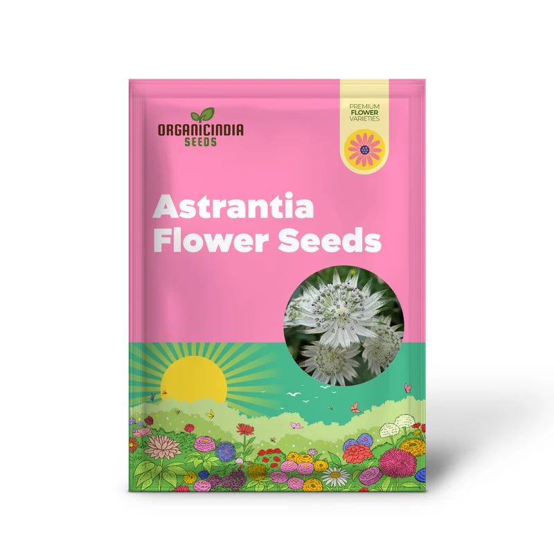 Astrantia Major Seeds For Planting: Premier Perennial for Enchanting Gardens | Shop Hardy Masterwort Plants Online"