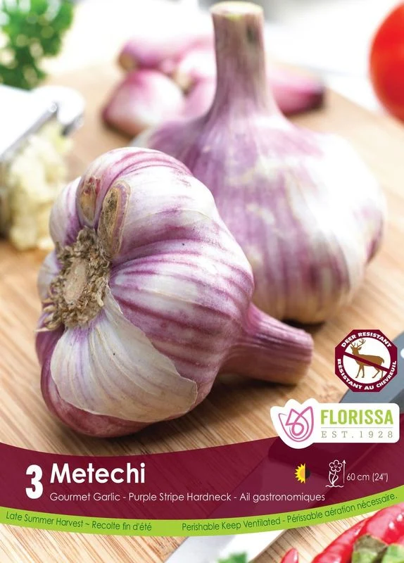 Ail Metechi ( Allium sativum var. ophioscorodon ‘Metechi’)