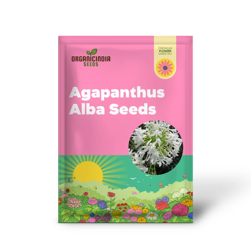 AGAPANTHUS PRAECOX ALBA Seeds, Pure White Elegance for Your Garden Delight