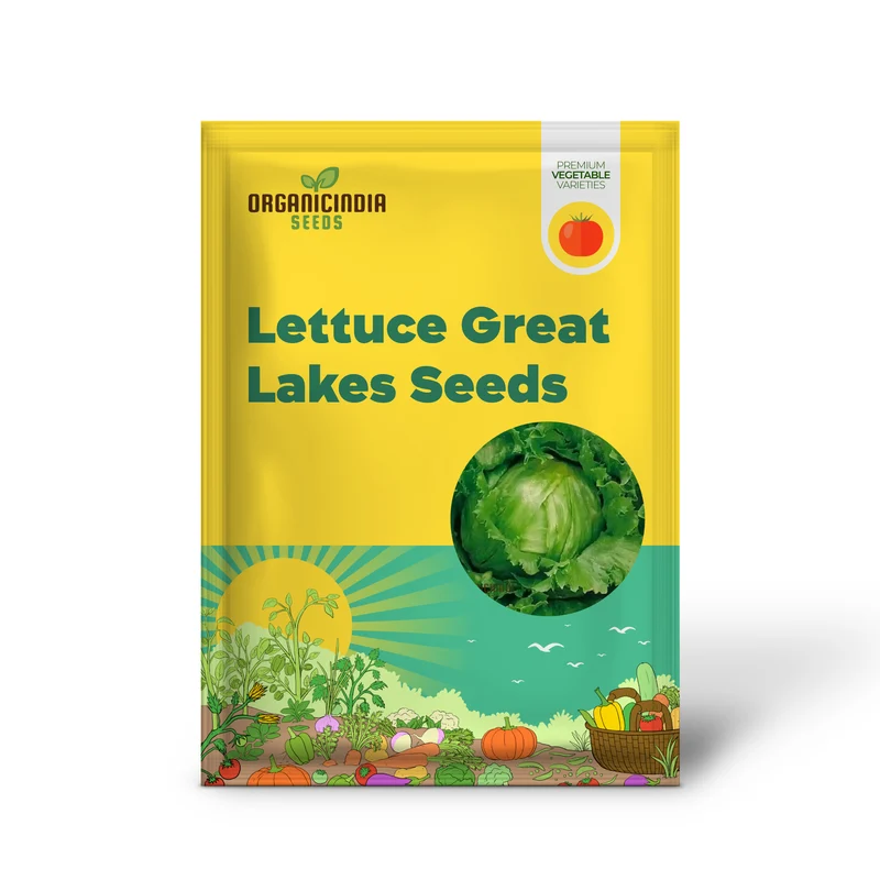 Lettuce Great Lakes Seeds for Gardening Enthusiasts | Heirloom Seeds for Healthy Greens