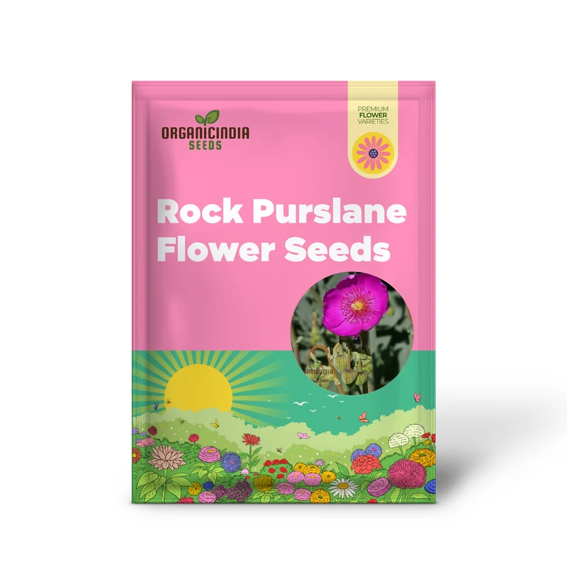 Calandrinia Grandiflora Seeds – Rock Purslane Variety for Vibrant Garden Blooms