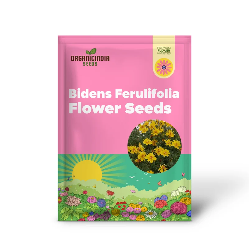 Bidens Ferulifolia Gold Nuggets Seeds For Planting, Brighten Your Garden with Golden Blooms