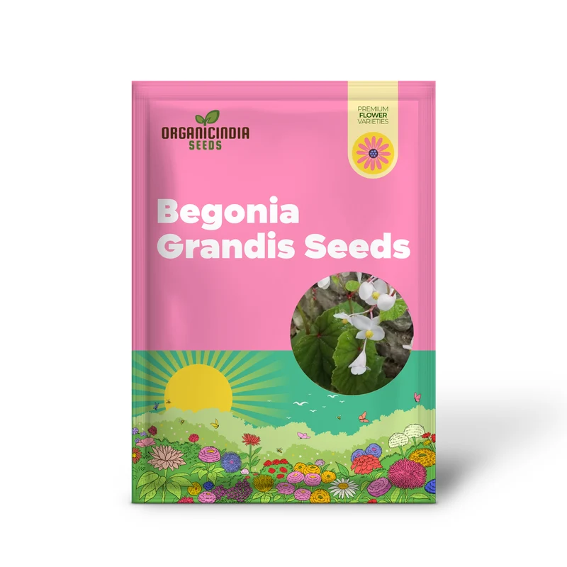 Begonia Grandis Alba Subsp Evansiana Seeds For Planting - Exquisite Gardening Delight for Discerning Plant Enthusiasts