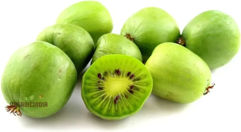 Kiwi Berry (Actinidia Arguta) Seeds for Gardening Enthusiasts | Grow Your Own Hardy Kiwi Vine at Home