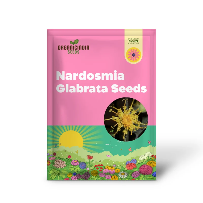 Cacaliopsis nardosmia glabrata Flower Seeds for Planting, Cultivating Exquisite Blooms with Expert Planting and Gardening Techniques