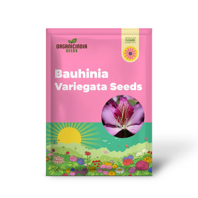 Bauhinia Variegata Seeds For Planting: Discover the Beauty of Gardening with this Spectacular Ornamental Tree