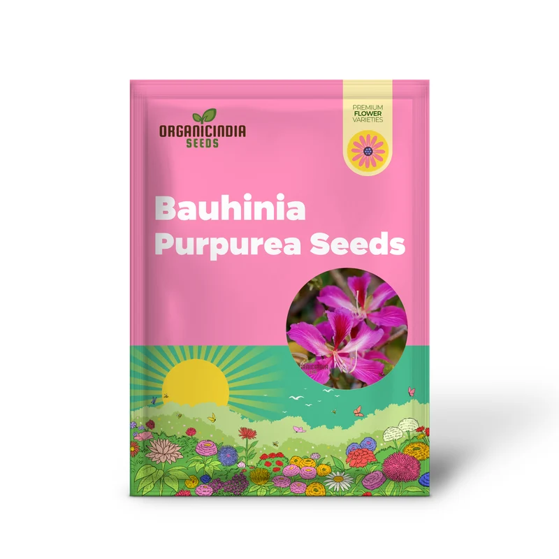 Bauhinia Seeds (Bauhinia Purpurea Seeds) - Rare Orchid Tree for Serene Garden Spaces