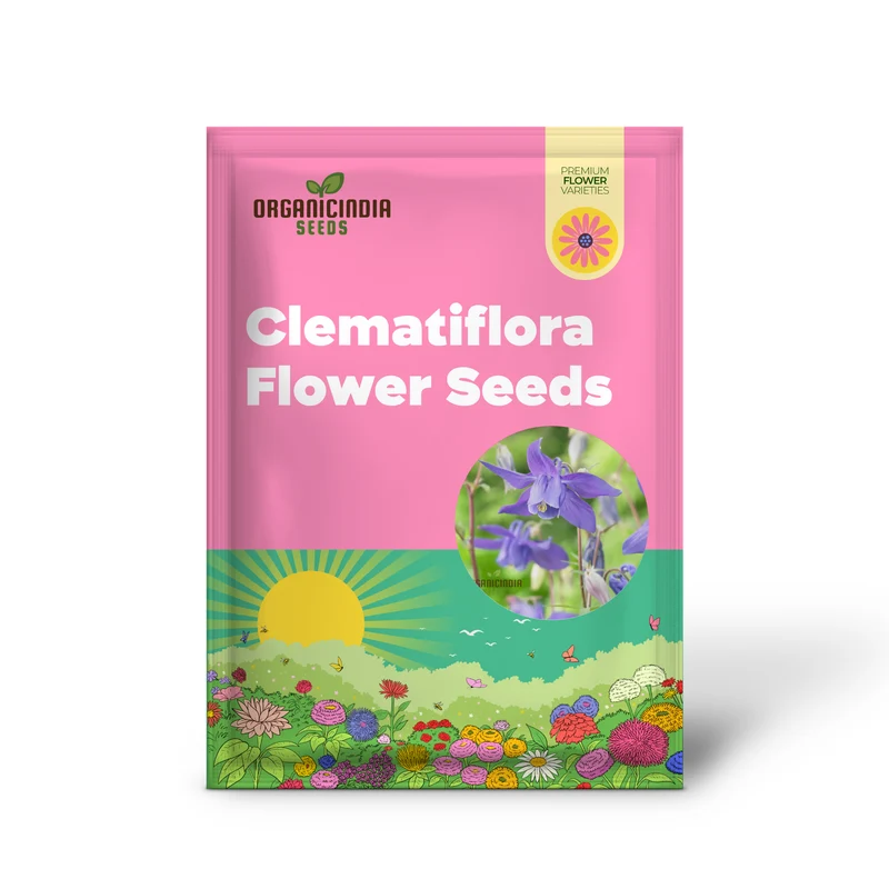 Rare Aquilegia Clematiflora Blue Flower Seeds - Exotic Gardening Plant for Stunning Blue Blooms