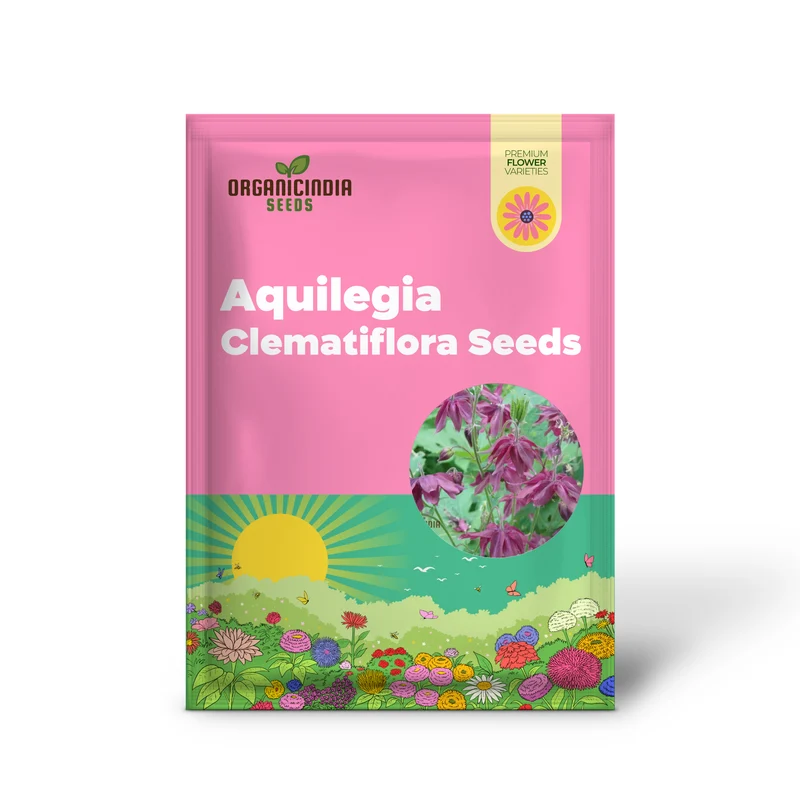 Rare Aquilegia Clematiflora Seeds for Gardening Enthusiasts | Exotic Columbine Flower Seeds