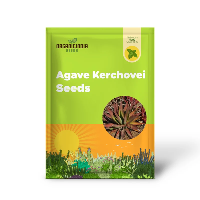 Agave kerchovei ‘Huajuapan Red’ Seeds – Unique Hardy Succulent for Desert Gardens & Landscaping
