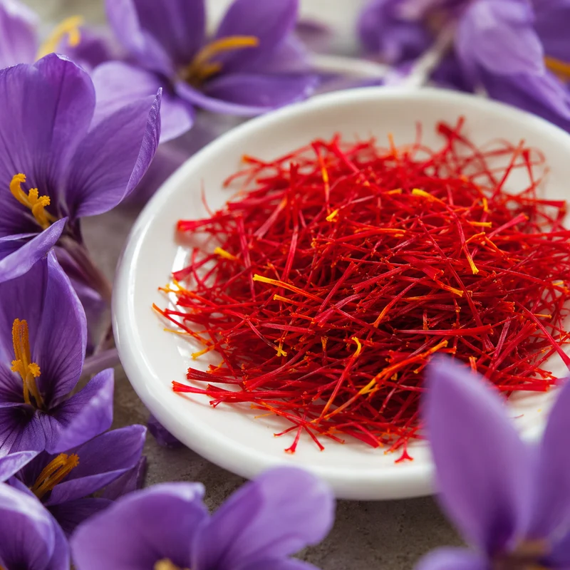Crocus à safran ( Crocus sativus )