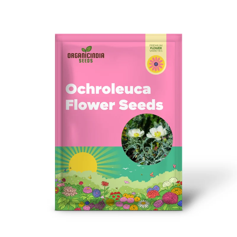Argemone Ochroleuca Seeds – Yellow Prickly Poppy Variety for Striking Garden Displays