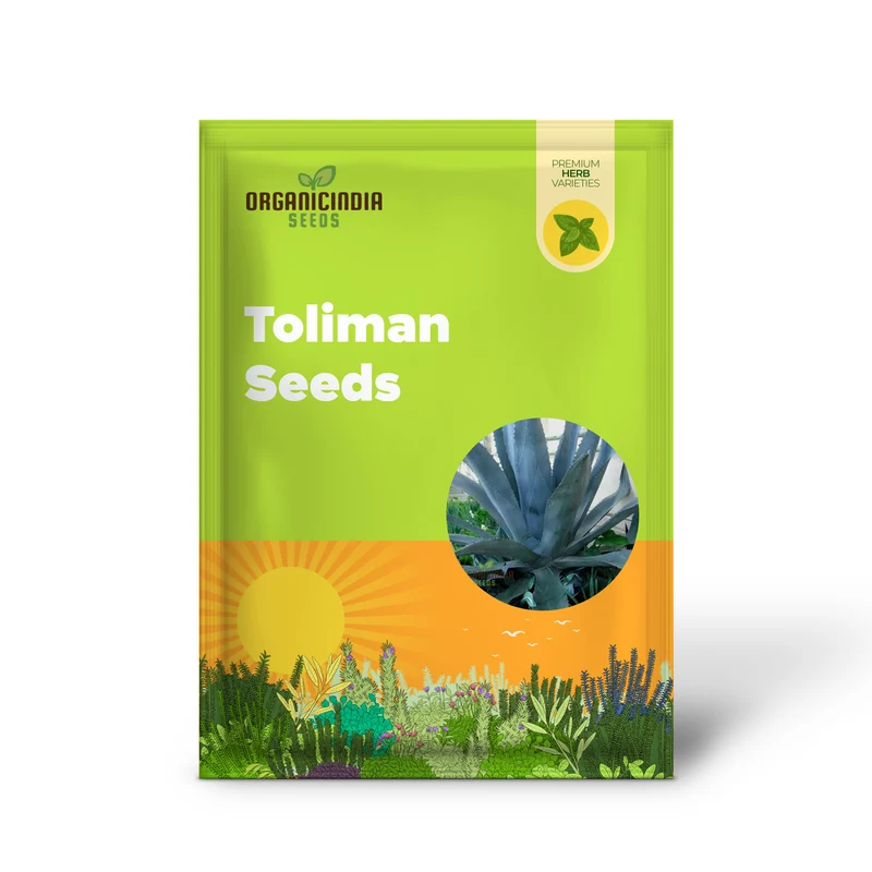 Agave Americana ‘Toliman Blue’ Seeds – Hardy, Drought-Tolerant Succulent for Garden & Landscape