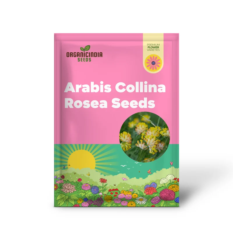 Arabis Collina Rosea Seeds – Premium Perennial Groundcover for Spring Blooms